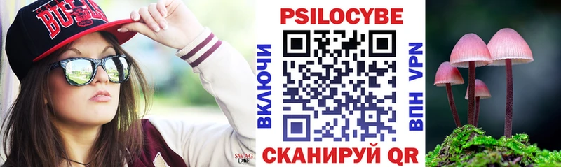 хочу наркоту  mega ссылки  Псилоцибиновые грибы GOLDEN TEACHER  Жирновск 